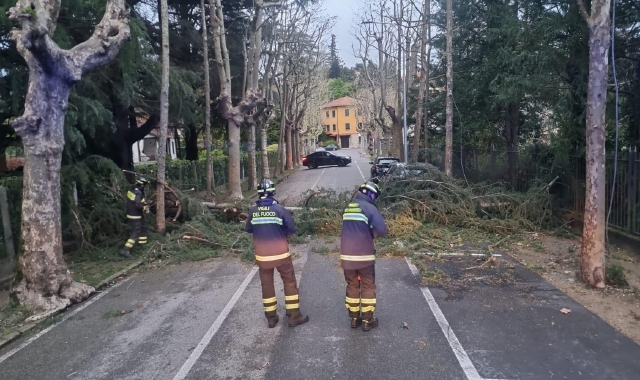 Un intervento dei vigili del fuoco per pianta caduta sulla strada a Varese in occasione del forte vento di mercoledì 10 aprile