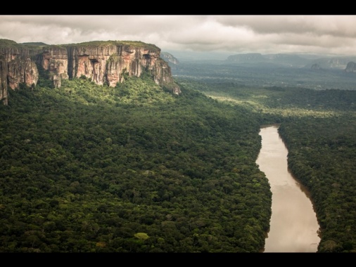 L'Oms lancia l'allarme per il virus Oropouche in Amazzonia