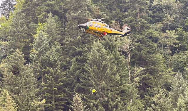 Precipita mentre cerca funghi, tragedia in Valsesia