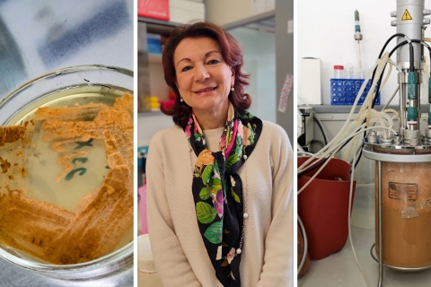 Nuovo antibiotico contro i superbatteri scoperto all’Insubria