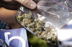 Rientrano da Amsterdam con la scorta di stupefacenti