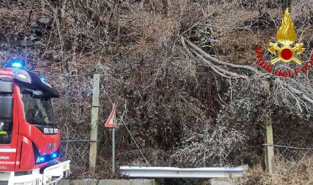 Pianta precipita sulla strada per Macugnaga