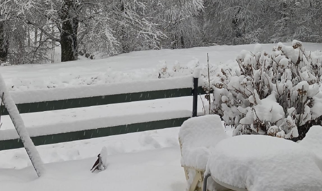 Spettacolo al Campo dei Fiori (Foto Laura Orlandi - Osteria Irma)