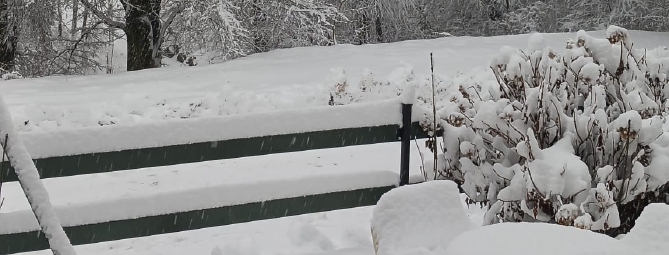 Ecco la neve: magia al Campo dei Fiori