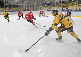 Mastini più forti delle linci