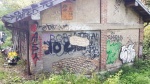 GN4_DAT_30176320.jpg