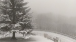 web foto maltempo  Levo Stresa