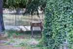 GN4_DAT_37455450.jpg