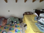 GN4_DAT_37946565.jpg