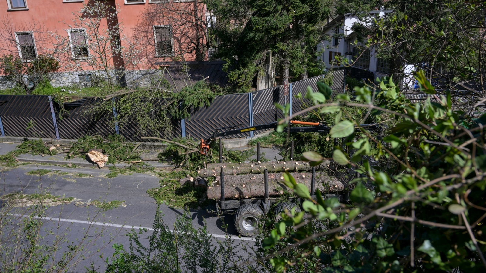 CASCIAGO VENTO FORTE CON PIANTE CADUTE INTERVENTO DEI VIGILI DEL FUOCO