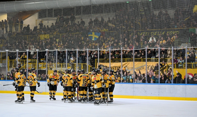 Hockey, Mastini: è il momento di osare