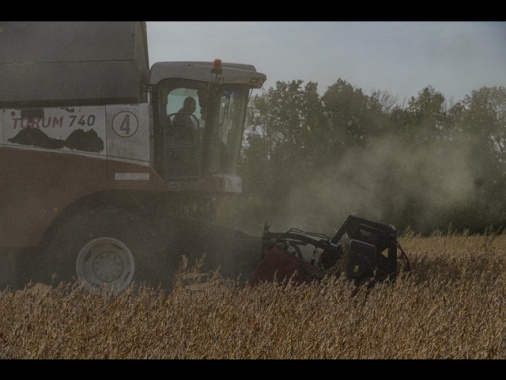 Ue alza il tetto dei fondi Pac anticipati per agricoltori