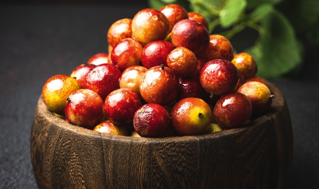 Camu Camu: Il superfrutto che viene dalla foresta