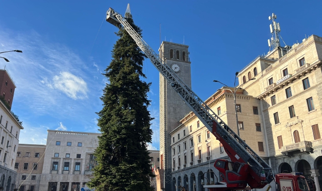 L’albero di Natale in allestimento in piazza Monte Grappa (foto Benvegnù - Blitz)