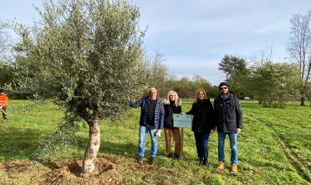 Busto Arsizio, cinque alberi nel parco dei nuovi nati