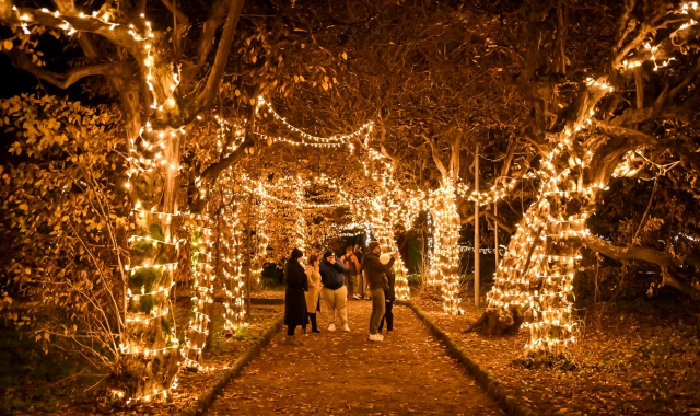 Si accendono i Giardini: a Varese è Natale