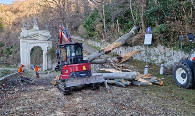 Rimosso l'albero caduto sulla Via Sacra