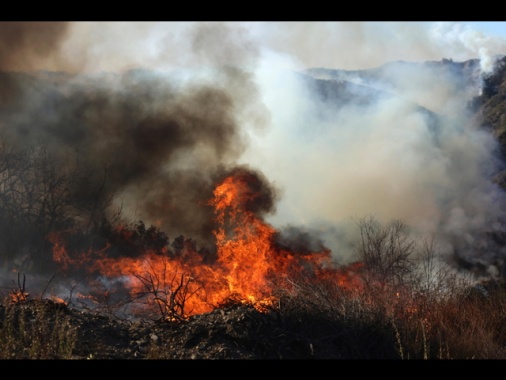 Almeno sei incendi a Los Angeles, 11 morti