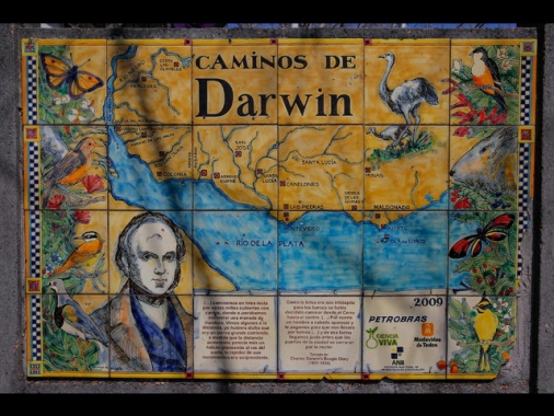 Torna il Darwin Day, festa della teoria dell'evoluzione