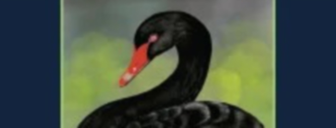 La fame del cigno di Luca Mercadante