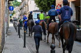 Caso Bettole: “Salute dei cavalli da tutelare”