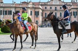 Ippodromo di Varese, ancora tutto fermo