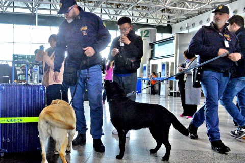 Maxi furto a Malpensa: presi due stranieri. E la vittima ringrazia
