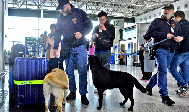 Bloccato a Malpensa ed espulso l'estremista danese Paludan