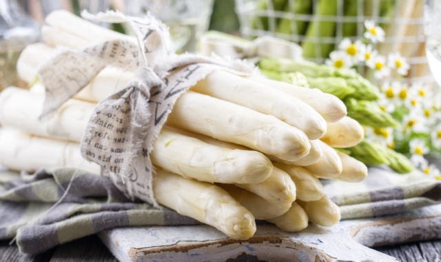 Asparagi, è il momento dei sovrani bianchi di Cantello