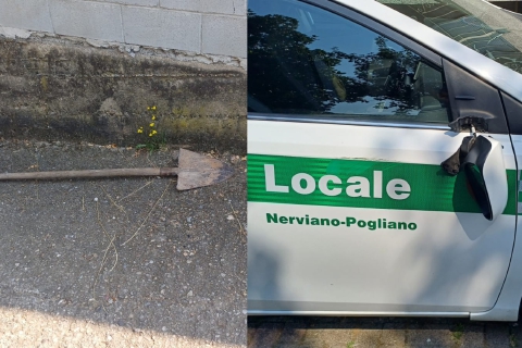 «I maiali sono da abbattere». Allevatore cerca di colpire a badilate il veterinario
