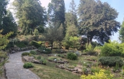 Da Varese per rilanciare Alpinia