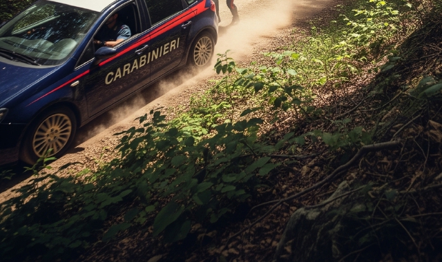 Inseguimento nei boschi da parte dei carabinieri  (foto archivio)
