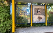 Croci celtiche e «Ducie»: vandali ad Avigno