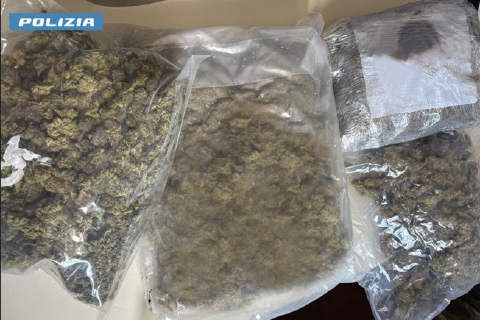Tre chili di marijuana nel garage di un'anziana