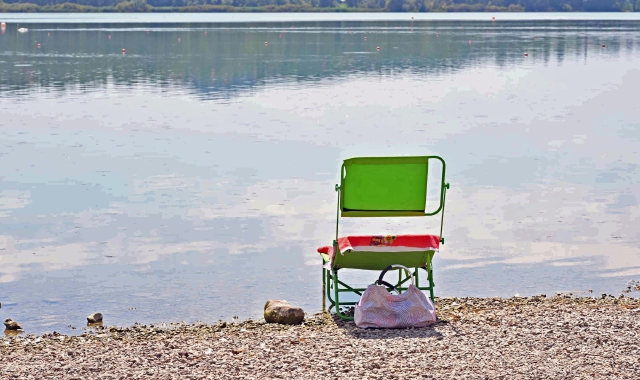 Alghe nel lago di Varese: balneazione sospesa