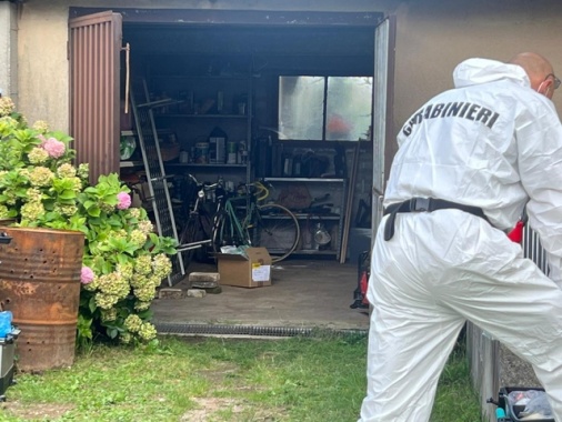 ++ Ucciso e fatto a pezzi: mamma, 'l'ho sezionato io da sola' ++