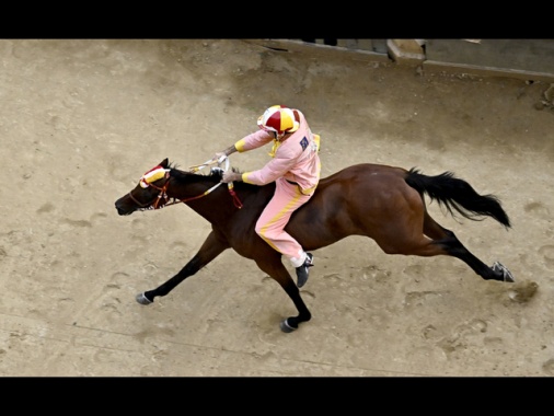 Palio di Siena, vince la contrada del Valdimontone