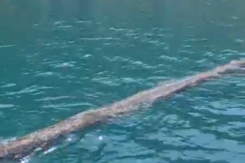 “C’è un mostro nel lago”. Ma è solo un tubo