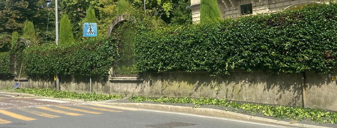 Siepi invadenti, subito tagliate