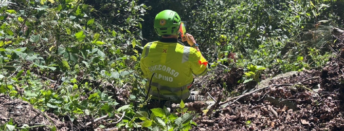 Tg Prealpina: precipita e muore mentre cerca funghi