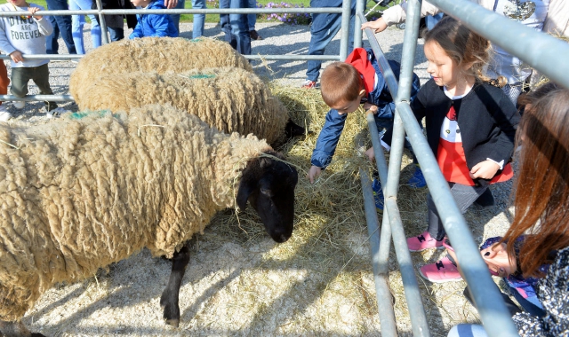 AgriVarese, la campagna a Busto Arsizio