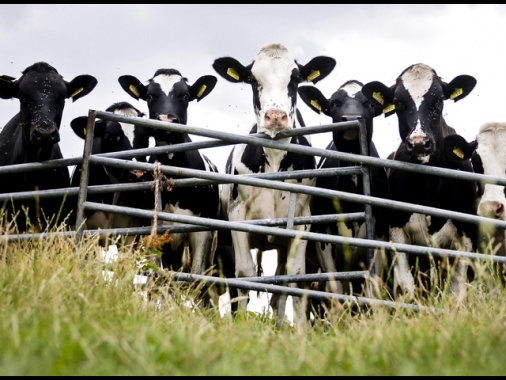 L'Ue propone nuove tutele per gli agricoltori sul Mercosur