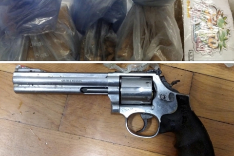 La pistola e la droga: circondati nel bosco, tre pusher in arresto