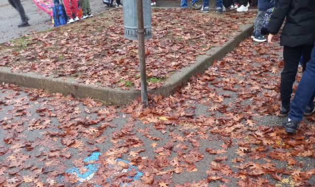 Foglie davanti alla scuola, anziana cade. Genitori e nonni chiedono più pulizia