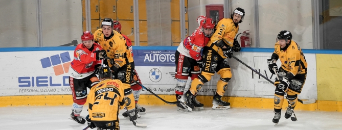 Mastini puniti dal Valpellice