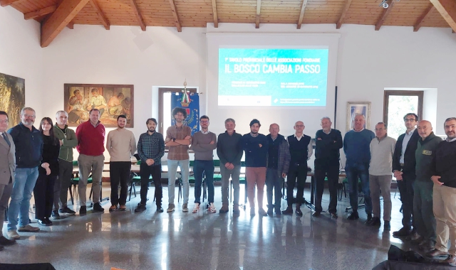 Gestione attiva dei boschi, Asfo al lavoro