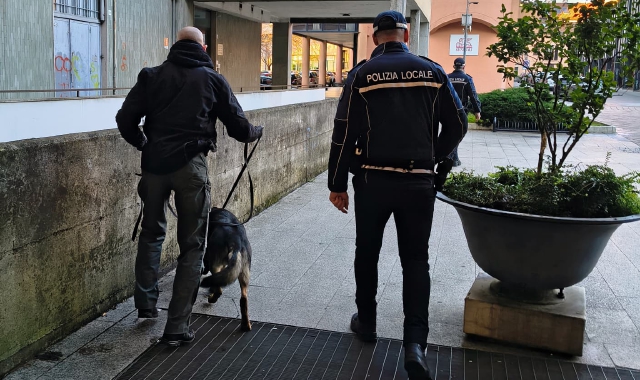 I controlli antidroga della Polizia locale di Saronno