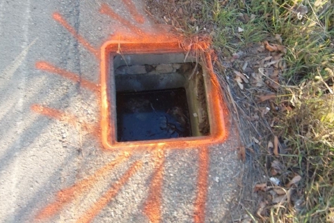 Spariti quindici chiusini, pericolo sulle strade del Saronnese