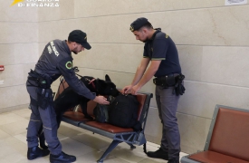 Traffico di valuta, ecco il cane che fiuta i contanti