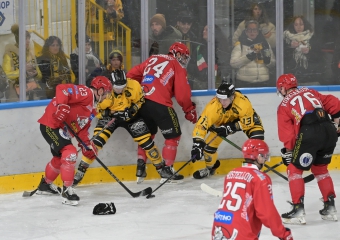 Mastini battuti in casa da Pergine